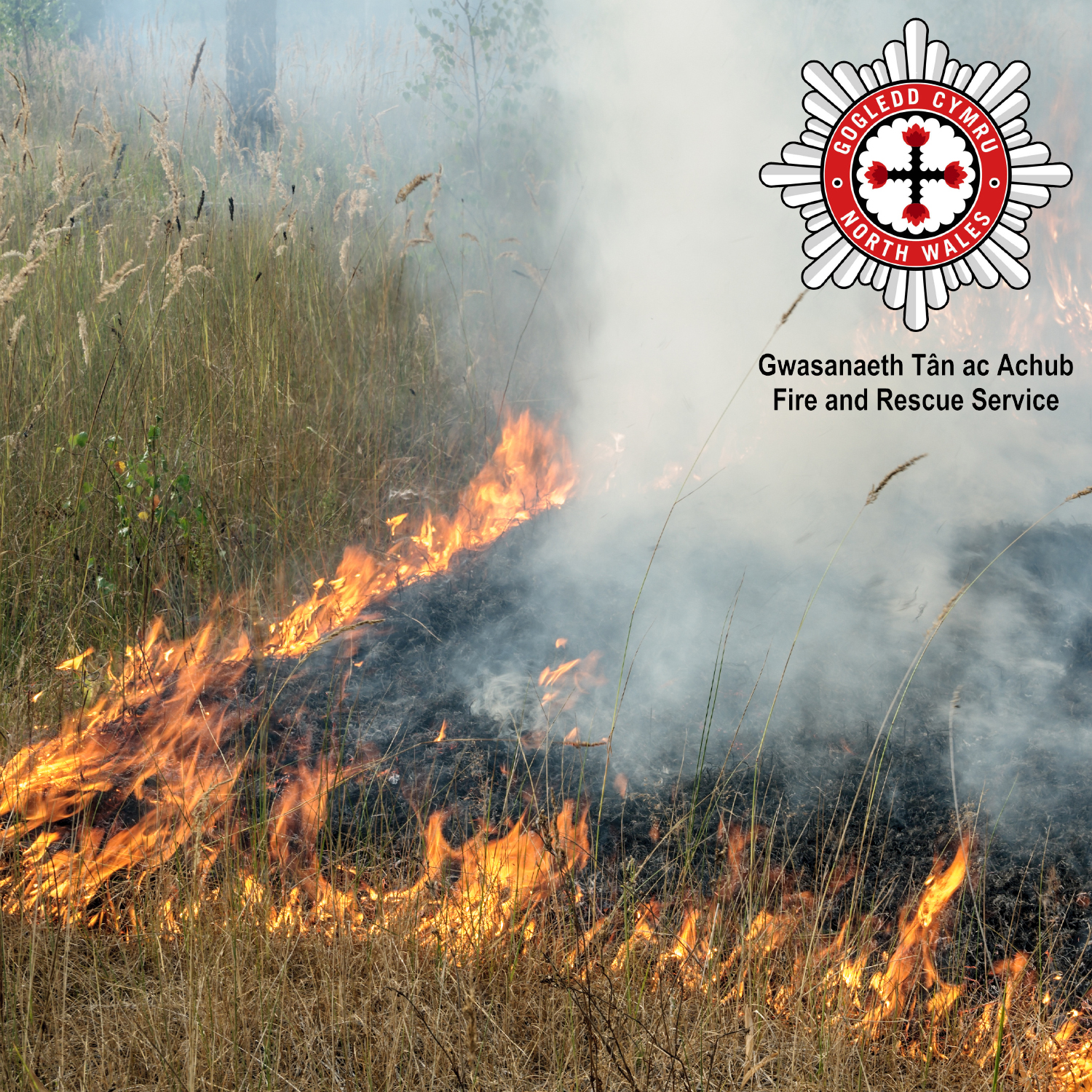 Appeal for care as controlled burning season starts